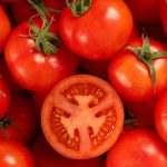 TOMATO, CAN, CUE, THE, SIDE, EFFECTS, OF, SMOKING