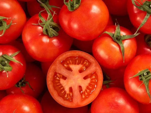 TOMATO, CAN, CUE, THE, SIDE, EFFECTS, OF, SMOKING