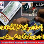 PAK, CHINA, WILL, EXCHANGE, DOLLAR, WITH, YUAN