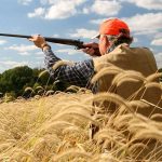 Quota continous throughout the country of trophy hunting for various species