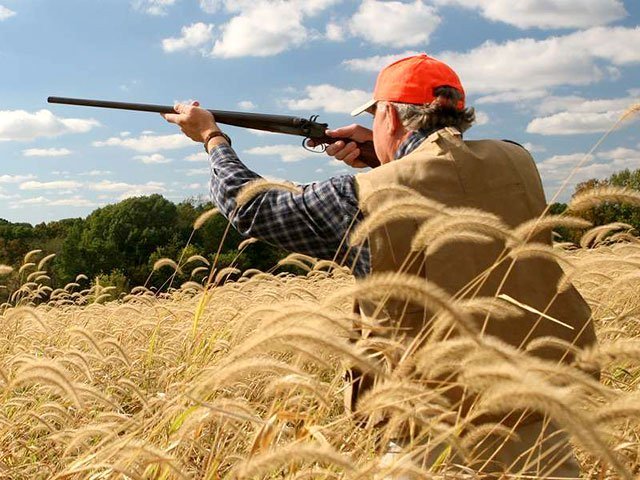 Quota continous throughout the country of trophy hunting for various species