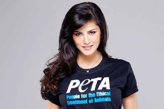 Sunny Leone became the most desperate actress