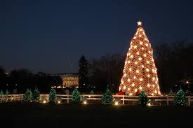 The American president alight the National christmas tree