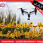 PUNJAB, DRONE, TO, LOOKUP, THE, CROPS