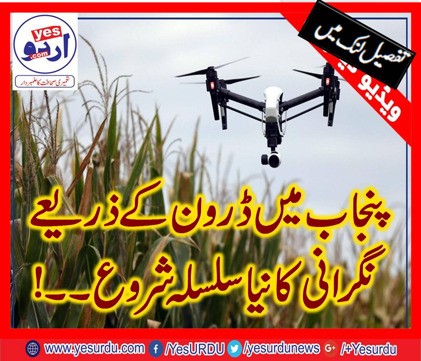 PUNJAB, DRONE, TO, LOOKUP, THE, CROPS