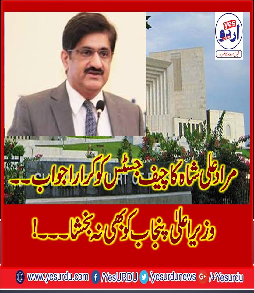 وزیر اعلیٰ سندھ مراد علی شاہ
