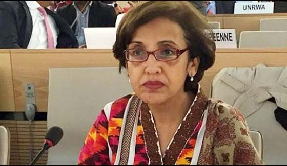 WE, HAVE, SERIOUS, RESERVATIONS, ON, STATEMENTS, OF, PANTAGON, AND, DONALD, TRUMP, TEHMINA, JANJUA, SECRETARY, FOREIGN, MINISTRY