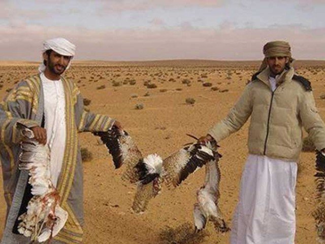 The Senate Committee expressed anxiety on Arabs are allowed to hunting
