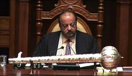 Dogs are exported instead of killing