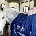 Amateur of horse riding Cat