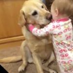 Mild friendship of Kid and pet dog