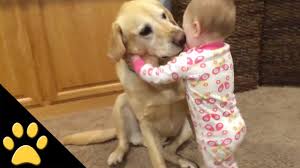 Mild friendship of Kid and pet dog