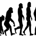 Charles Darwin's theory is wrong