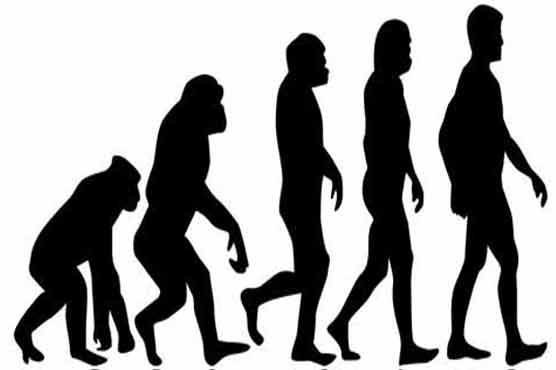 Charles Darwin's theory is wrong