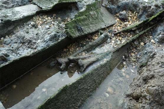 The horrible island that wake up human skulls and bones