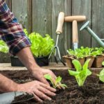 Gardener
