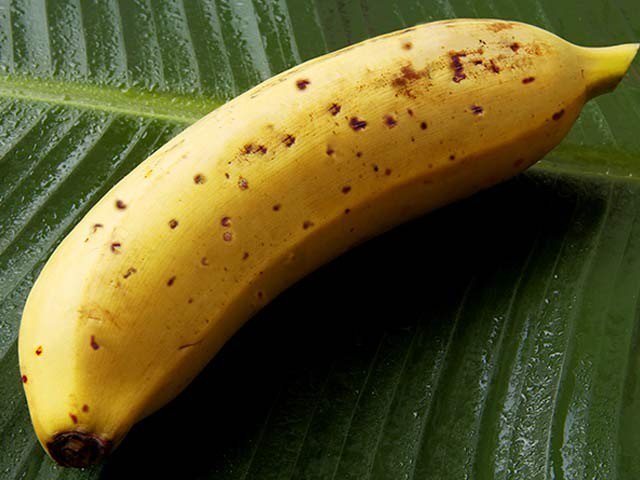 Japanese experts prepared banana to eat with peak