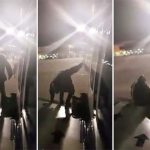 Unique protest of passenger to sit on ship wing in Spain