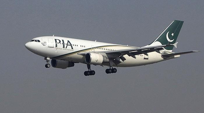 WE, ARE, COMMITTED, TO, PRIVATIZE, PIA, DANIAL AZIZ