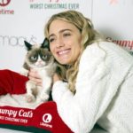 Due to angry cat, the company's debt amount of $ 7 million
