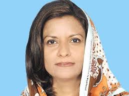 Imran Khan and Nawaz Sharif are harming the state for power, Chief Secretary Information Pakistan Peoples Party Nafeesa Shah
