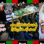 SYED, ZAHID, ABBAS, SHAH, SENIOR, LEADER, PPP, GEMANY