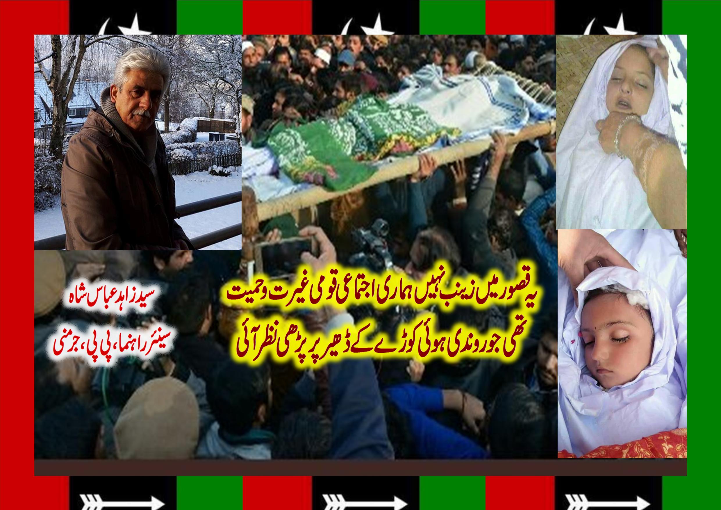 SYED, ZAHID, ABBAS, SHAH, SENIOR, LEADER, PPP, GEMANY