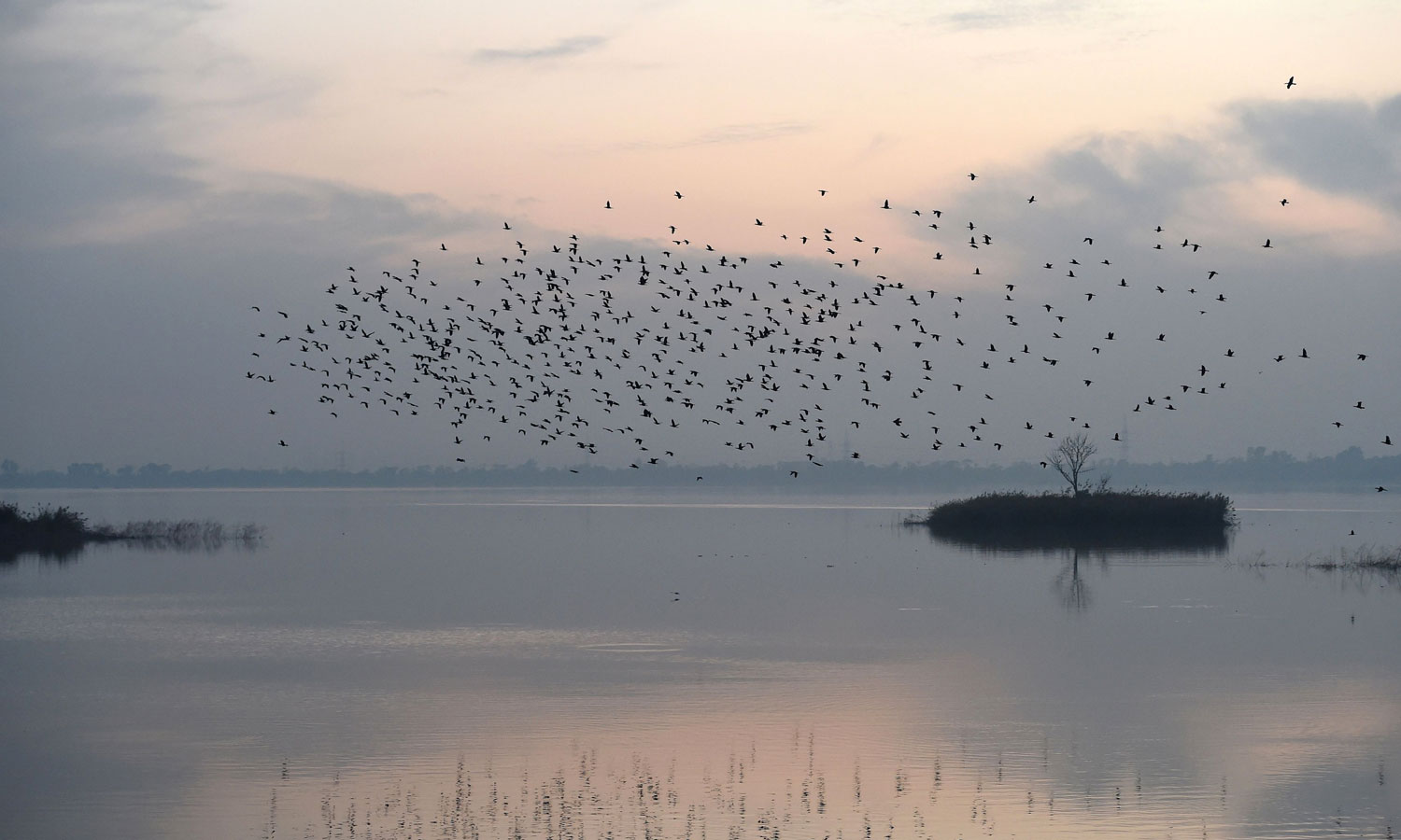 Pakistan, More, than, two third, children, are, fixed, to, drink, polluted,, water