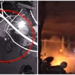 The Chinese boy got expensive to Interest of kung Fu