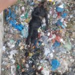 Body recovered from the drainage of pir wadhai station and sabzi mandi with controversial boundaries of IJP road