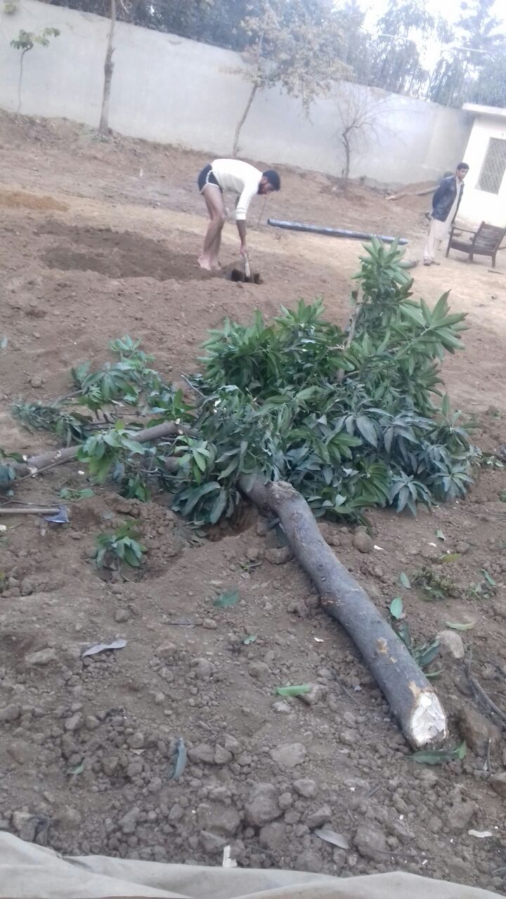 WhatsApp Image 2018-01-23 at 2.10.14 AM (1)