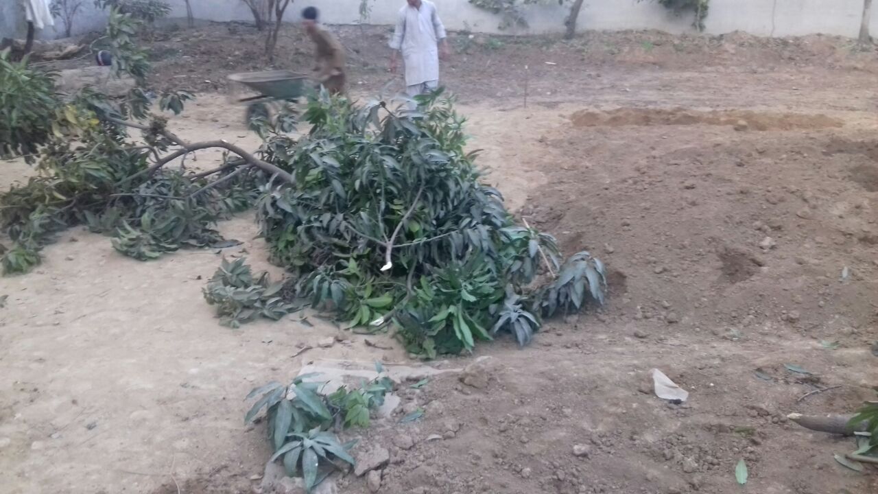 WhatsApp Image 2018-01-23 at 2.10.15 AM (1)