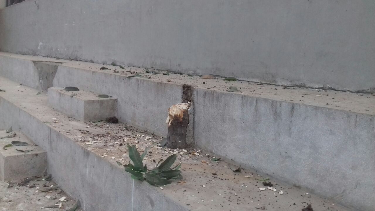 WhatsApp Image 2018-01-23 at 2.10.16 AM