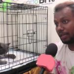 Holding Annual pet show in Malaysia