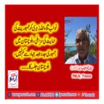 mian Muhammad, hanif, Chief, Executive, Pakistan, Muslim, League, France