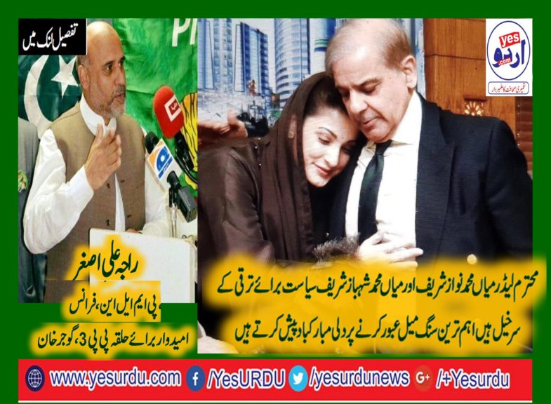 RAJA ALI ASGHAR, PMLN, FRANCE, LEADER, AND, CANDIDATE, FOR, PUNJAB ASSEMBLY, PP-3, GUJAR KHAN