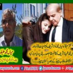 MIAN, MUHAMMAD, HANIEF, CHIEF, EXECUTIVE, PMLN, FRANCE, CONGRATULATED, MIAN SHEHBAZ SHARIEF, ON, ELECTED, INTERIM, PRESIDENT, OF, PMLN