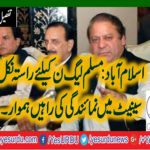 PMLN, INITIATED, NEW, SENATE, TICKETS, TO, THE, CANDIDATES, RAJA ZAFAR UL HAQ CHAIRMAN, PMLN, USED, HIS, RIGHTS