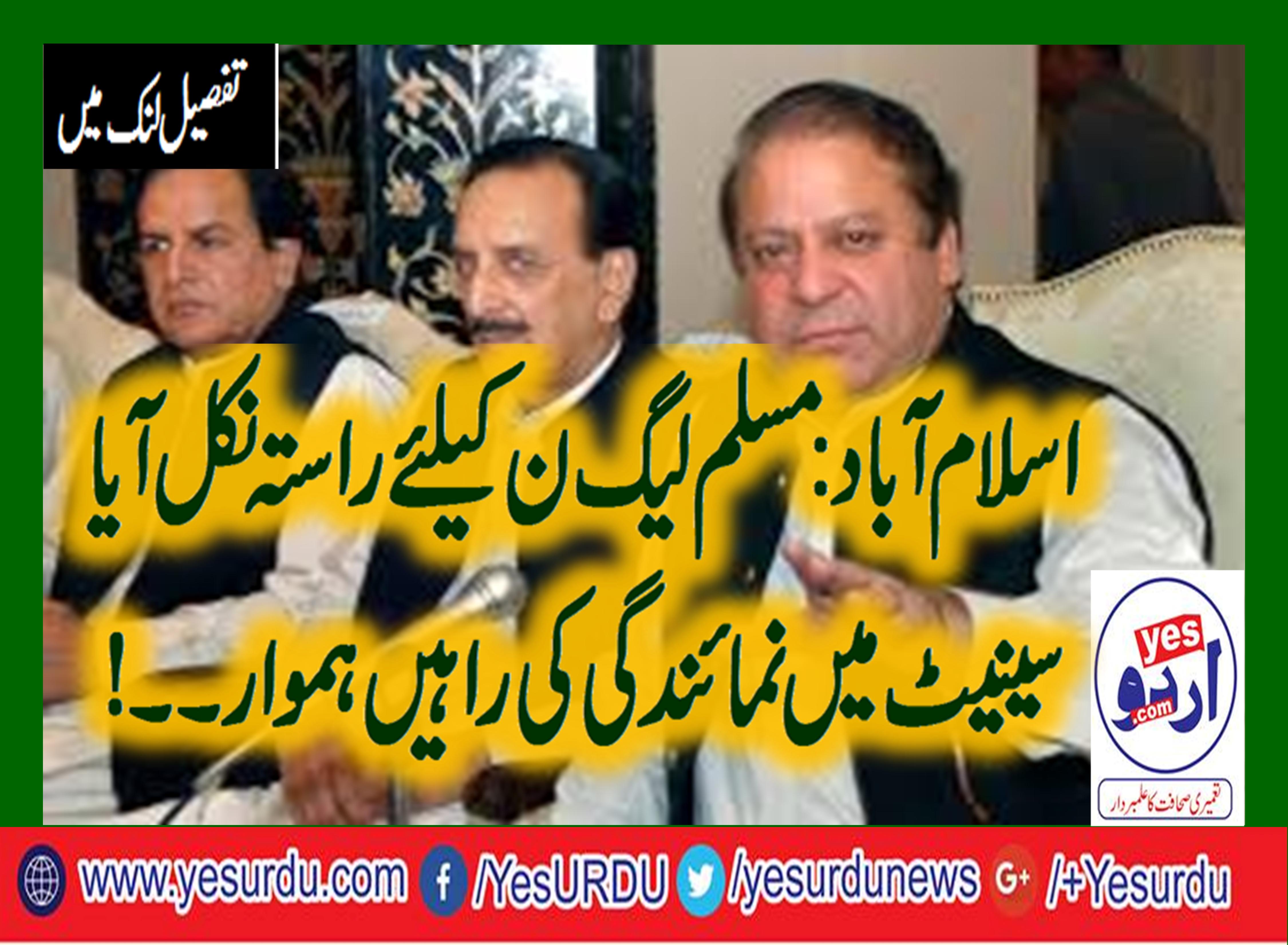 PMLN, INITIATED, NEW, SENATE, TICKETS, TO, THE, CANDIDATES, RAJA ZAFAR UL HAQ CHAIRMAN, PMLN, USED, HIS, RIGHTS
