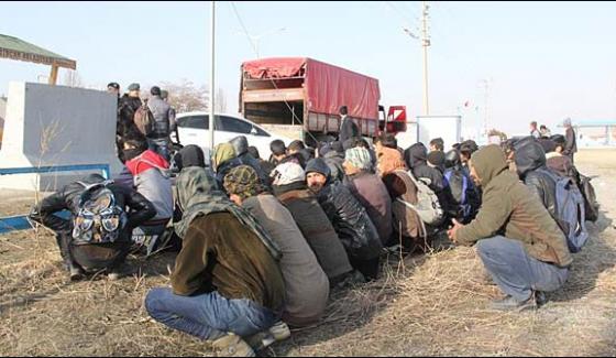 361 illegal immigrants, including Pakistanis, were detained