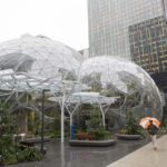 Campus establishes in the US to show the scene of forest