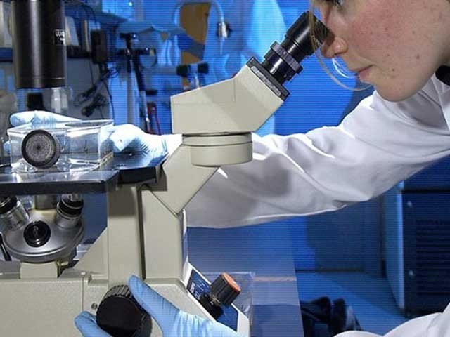 EDUCATION, AND, RESEARCH, REAL, BAIL, OF, EXISTANCE, BY, IMAD ZAFAR