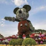DUBAI, ONE, MILLION, PLANTS, AND, FLOWERS, MADE, MIKKI MOUSE, MODEL, GETTING, ATTENTIONS, OF, PUBLIC, AT, LARGE, LEVEL