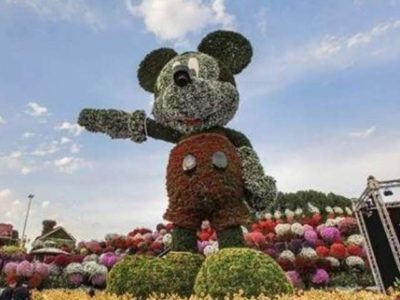 DUBAI, ONE, MILLION, PLANTS, AND, FLOWERS, MADE, MIKKI MOUSE, MODEL, GETTING, ATTENTIONS, OF, PUBLIC, AT, LARGE, LEVEL