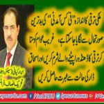 ABRAR, KAYANI, SENIOR, LEADER, PTI, FRANCE,