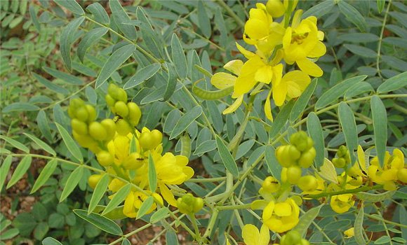 DAILY, HABITS, AND, FOOD, WHICH, CAN, COUNTER, CONSTIPATION