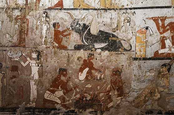 Discovered four hundred and a half year old magnitude in Egypt