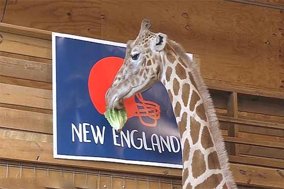 Zoroastrians to amazing predictions