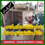 fear, of, freedon, fighters, Indian, army, man, suicide, with, his, gun, at, donal, camp