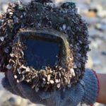 The ocean-lost camera was found in the original condition after 2 years